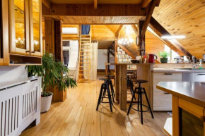 Rooftop 180m2 Loft with private SAUNA,